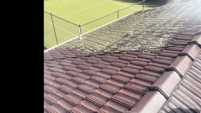 Bayside Roof Cleaning project 1