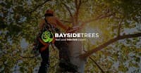 Bayside Trees | Tree Removal & Pruning