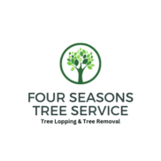 Belmont Tree Loppers and Tree Removal