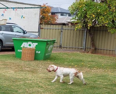 Best Price Skip Bins project 4