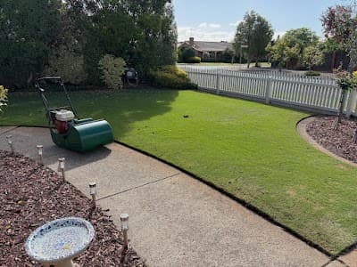 Better Lawn Co. cover