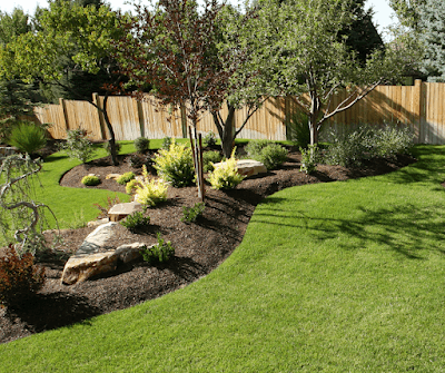 Better Lawn Co. project 4