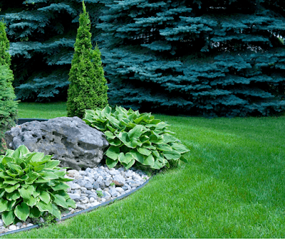 Better Lawn Co. project 6