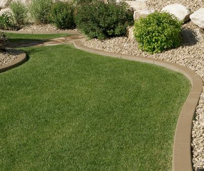 Better Lawn Co. project 1