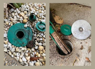 Bio Pest Control Adelaide | Pest Control Services cover