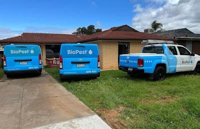 Bio Pest Control Adelaide | Pest Control Services project 3