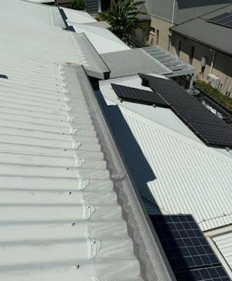 Bio Pest Control Adelaide | Pest Control Services project 5