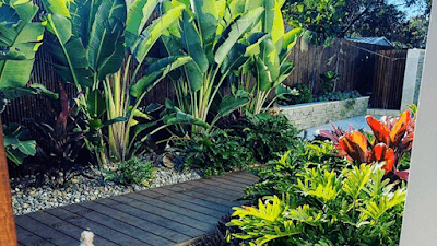 Bird's Backyard Landscapes