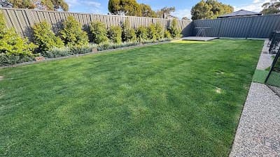 BJ Mowing project 5