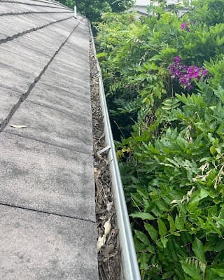 Blown Away Gutter Cleaning project 3