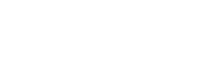 Bravis Security