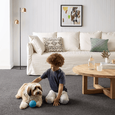 Bridge Carpet Court cover
