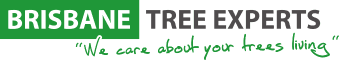 Brisbane Tree Experts | Tree Arborists & Tree Care Specialists