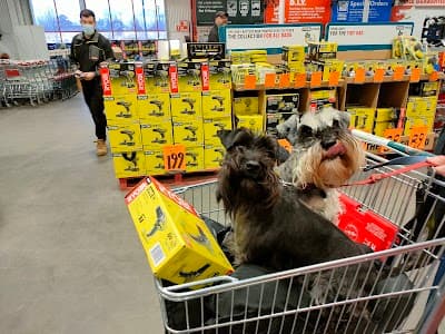 Bunnings Ballarat cover