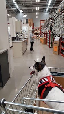 Bunnings Hoxton Park project 3