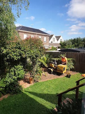 C & D Schroeder Tree Services project 1