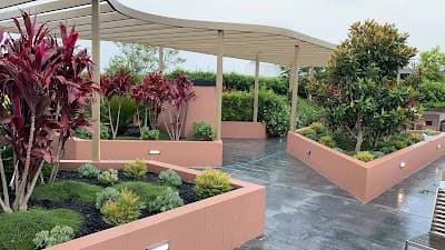 Cadenza Landscapes project 3
