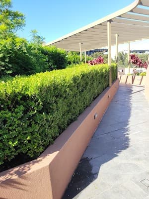 Cadenza Landscapes project 4