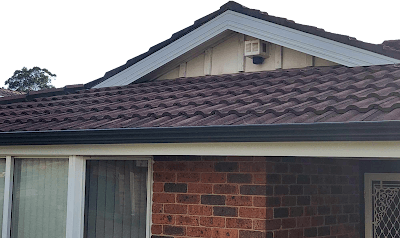 Campbelltown Macathur Guttering & Roofing project 5