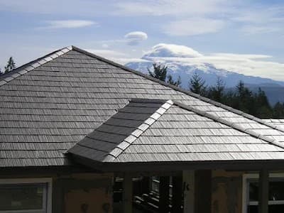 Captain Roof Repair cover