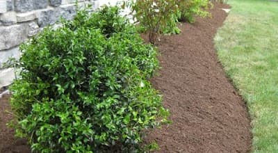 Cessnock Landscape Supplies project 4
