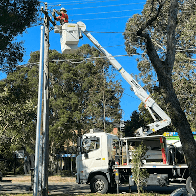 CForce Electrical project 3