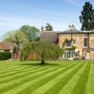 CHEAP LAWN MOWING & Gardening Services project 4