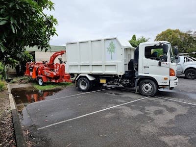 Chris Davies Tree Removals project 4