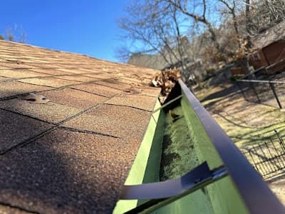 Clear Flow Gutter Cleaning project 1