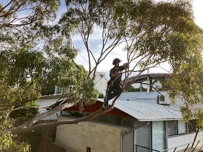 Climb Right Tree Services cover
