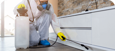 Combat Pest Management Pty Ltd | Pest Control Services in Sydney