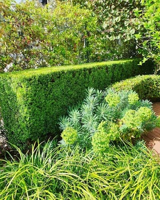 Cut N Polish - lawn & property services project 4
