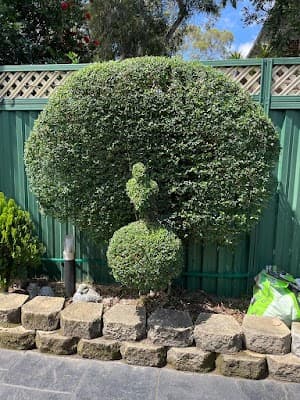 Cutting Edge Lawn Services cover