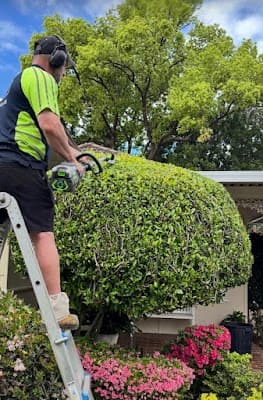 Cutting Edge Lawn Services project 3