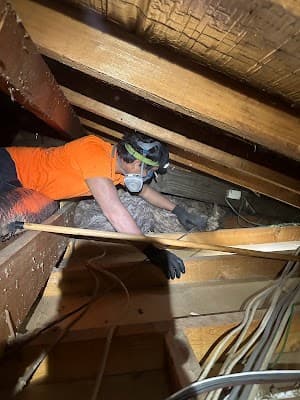 D&D Roof Vacuuming and Insulation project 3