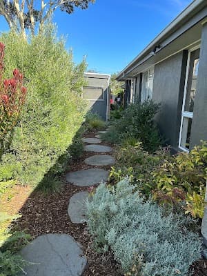 Darling Pea Garden Care cover