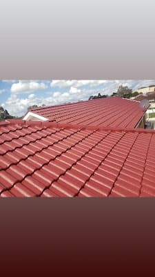 DayLuxe roof painting and repair