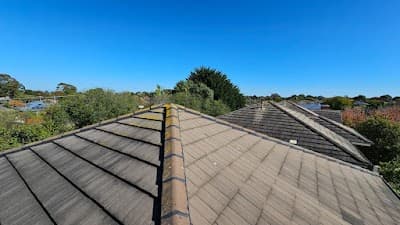 Dimitri's Roof Tiling cover