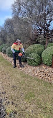 Disa Irrigation, Landscaping & Horticulture project 3
