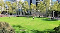Docklands Community Garden