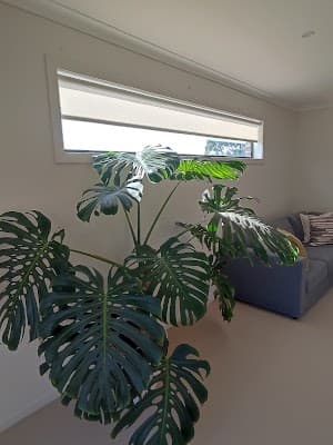 dollar curtains + blinds Geelong project 4