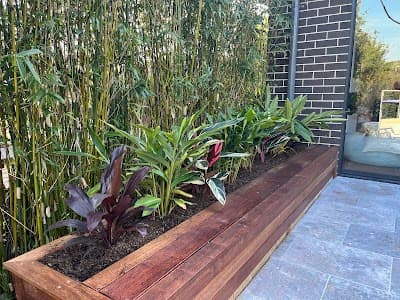 Residential Garden & Landscape Maintenance Service, Sydney - Dr Garden cover