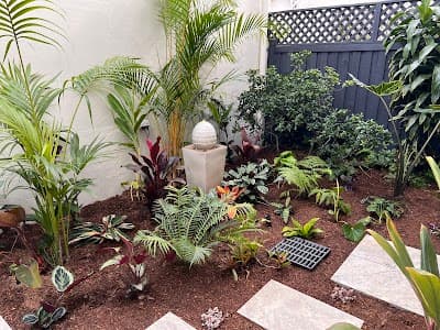 Residential Garden & Landscape Maintenance Service, Sydney - Dr Garden project 3