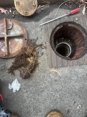 Drain Blast Plumbing | Emergency 24 hour Blocked Drain Melbourne cover