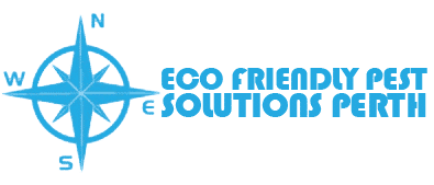 Eco Friendly Pest Solutions