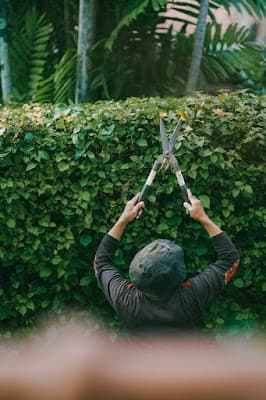 Eden East Gardening project 3