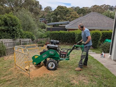 Eid Tree Services cover