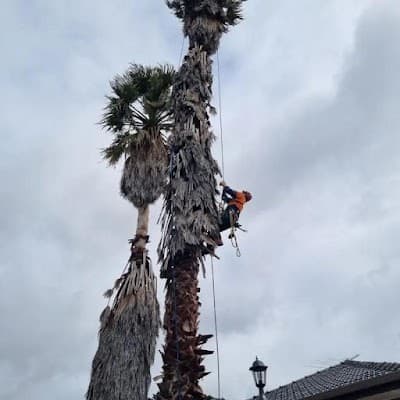 Eid Tree Services project 3
