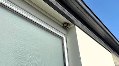 EMK Termite & Pest Control Sydney