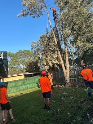 ENVIRO TREE WORKS cover